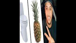 Toilet Ananas Nasdas Tiktok Meme Compilation [upl. by Trimble]