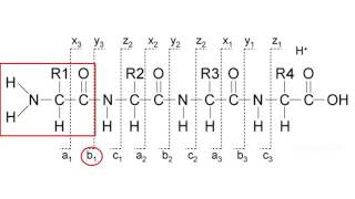 Mass spectrometry for proteomics  part 2 [upl. by Esialb]