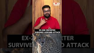 Former Zimbabwe cricketer Guy Whittall MAULED by leopard but is saved by his dog  Sports Today [upl. by Shadow]