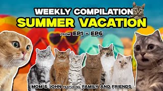 CAT MEMES SUMMER VACATION EP1EP6 COMPILATION  FULL WEEK EPISODE [upl. by Ahsitak207]