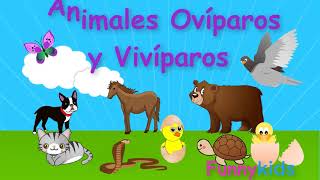 Animales ovíparos y vivíparos para niños  Videos educativos para niños [upl. by Shetrit]