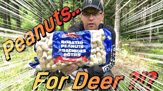 Using Roasted Peanuts for Deer [upl. by Ahseat]