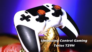 Terios T29H controller gaming ps4 [upl. by Nauqat]