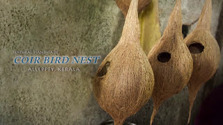 Coir Bird Nest  Alleppey Kerala [upl. by Mozart811]