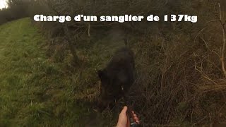 Charge dun sanglier de 137 kg [upl. by Trauts631]