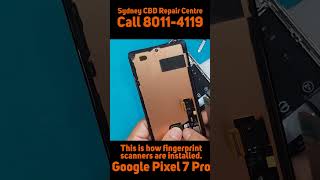 This fingerprint scanner is so frail GOOGLE PIXEL 7 PRO  Sydney CBD Repair Centre shorts [upl. by Louth]