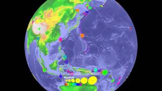 Japan Earthquake and Tsunami Wave Heights March 11 2011 [upl. by Anniram218]