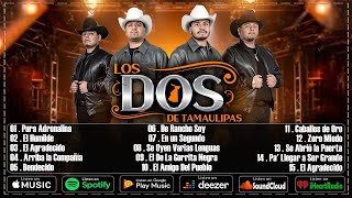 Los Dos de Tamaulipas  Puros Corridos Chingones  Mix 20 Grandes Éxitos Canciones [upl. by Aceissej]