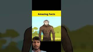 amazingfacts factbeast factsinhindi mrbast amazing mrfactstory interestingfacts mrfactor mr [upl. by Maice]