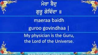 MERA BAID GURU GOVINDA  Read along with Bhai Harjinder Singh SriNagar Wale  Shabad Kirtan [upl. by Silver]