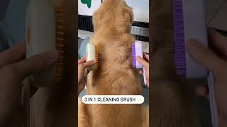 Cleaning time✨️🐶 dogproducts petproducts dogowners catowners petowners [upl. by Alejandrina883]