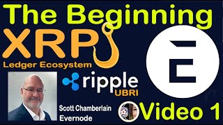 40k XRP Holders Ready to Receive Airdrop from Ripple Funded Research EVERNODE NOW on HOOKS Xahau [upl. by Oyr]