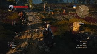 The Witcher 3 Wild Hunt The Apiarian Phantom [upl. by Uht]