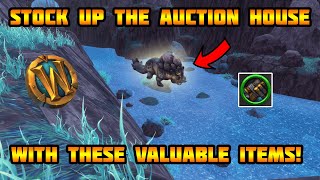 WoW Solo Transmog Gold Farm Stock up the Auction House now [upl. by Kaete]