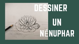 Comment dessiner un nénuphar [upl. by Hamimej]