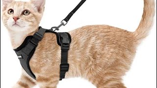 Rabbitgoo Cat Harness and Leash for Walking Escape Proof Soft Adjustable Vest Harnesses for Cat [upl. by Annaid]