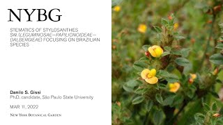 Systematics of Stylosanthes Sw Leguminosae – Papilionoideae – Dalbergieae [upl. by Fariss451]