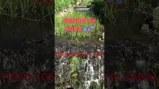 SONIDO de AGUA💧💦short relajación meditación [upl. by Fransisco]