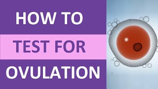 How to Take an Ovulation Test Clearblue for Pregnancy  Ovulation Symptoms amp Test Kit [upl. by Liman]