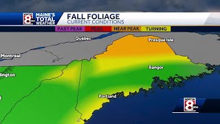 Fall Foliage Report in Maine showing signs of changing colors [upl. by Edeline227]