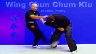 Wing Chun kung fu  wing chun chum kiu training Lesson 10 [upl. by Adnoma]