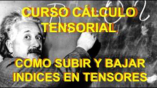 18 COMO SUBIR Y BAJAR ÍNDICES EN TENSORES CURSO DE CÁLCULO TENSORIAL [upl. by Eical]