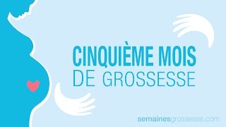 Cinquième mois de grossesse  La grossesse mois par mois [upl. by Ytsirk34]