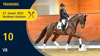 Verden Auction Online Jan 27  Training  No 10 V 8 by Valdiviani  Jazz [upl. by Winola239]