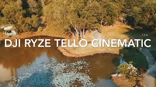 Dji Ryze Tello Insane Cinematic Tiny Drone Footage [upl. by Eiramac995]