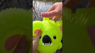 Learn Animal Names at the Pond for Kids  Ed bot TV 100000 Subs Special [upl. by Acinomaj]