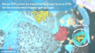 Prion disease animation clip [upl. by Ynney]