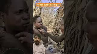 Eating roots plant africa hadzabetribe animals wildlife nature villagelife [upl. by Riabuz]