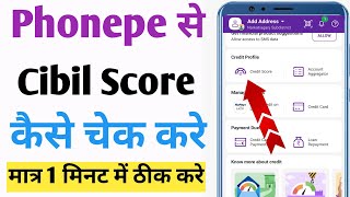 Phonepe cibil score check  Check cibil score in phonepe  cibil score kaise check kare [upl. by Juetta]