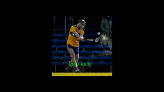 hurlers that use torpey hurleys hurlinghurleysedit [upl. by Lalage]