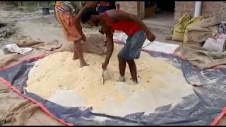 Fish Food Making Process  मछली खाना बनाने की प्रक्रिया [upl. by Yeliah239]