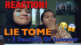 5 Seconds Of Summer  Lie To Me Music Video REACTION [upl. by Novets]