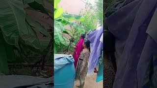 Sunday லீவுக்கு ஆச்சிய பாக்க வந்துருக்கேன் sunday acchi visitviralshort vlog [upl. by Assirahc]