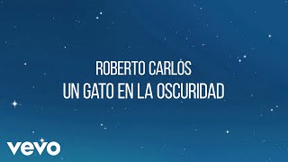 Roberto Carlos  Un Gato en la Oscuridad Lyric Video [upl. by Kemeny]