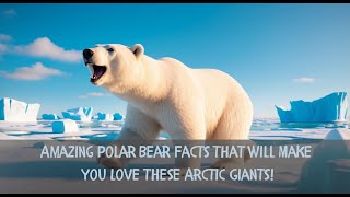 How Do Polar Bears Stay Warm in the Cold Discover 10 Fun Facts [upl. by Kluge412]