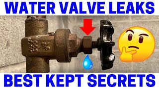 Leaky Water Valve  Easy Fix [upl. by Leinaj]