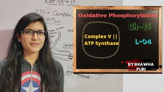 CH14  Oxidative Phosphorylation  Complex V  ATP Synthase  L 04  Biology  Class 11th [upl. by Sylram796]