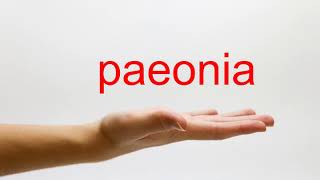 How to Pronounce paeonia  American English [upl. by Nitaf]