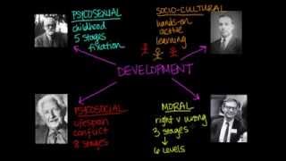 Overview of Theories of Development [upl. by Enorej314]