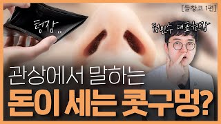 들창코 개선 1편  관상에서 말하는 돈이 세는 콧구멍은 어떤 모양이고 개선이 가능한가요 [upl. by Gnen]