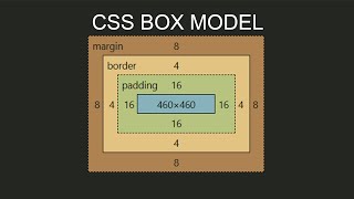 CSS Box Model Explained in Detail Padding  Margin  Box sizing [upl. by Rivers70]