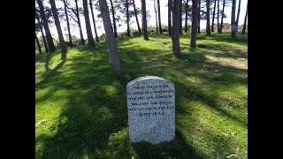 Bicknoller Circular Hike Part IV Memorial Trees amp Old Alfoxden Park Drove May 20th 2024 by Sheila [upl. by Raddatz]