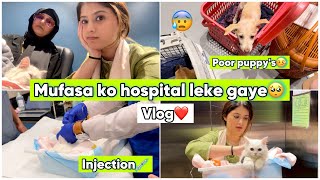 Mufasa ko hospital le gaye🥺🏥  Vlog  Arishfa khan [upl. by Tamaru]