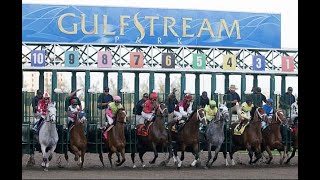 Live Gulfstream Park Horse Racing Picks [upl. by Elleined]