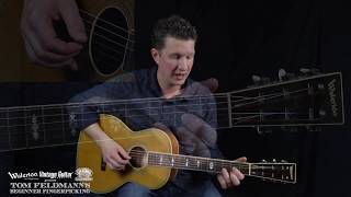 Tom Feldmann’s Beginner Fingerpicking  Lesson 2 [upl. by Sevart]