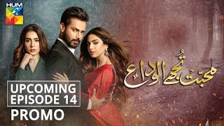 Mohabbat Tujhe Alvida  Upcoming Episode 14  Promo  HUM TV  Drama [upl. by Akener779]